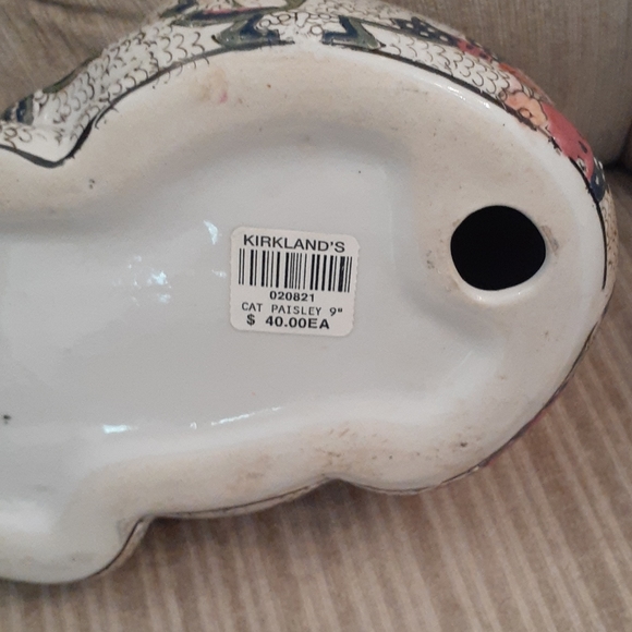 LAST CHANCE Cat - Picture 4 of 4